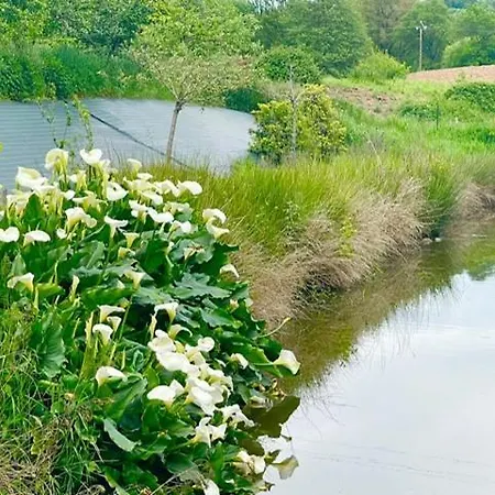 Les Philous Gourmands Bed & Breakfast