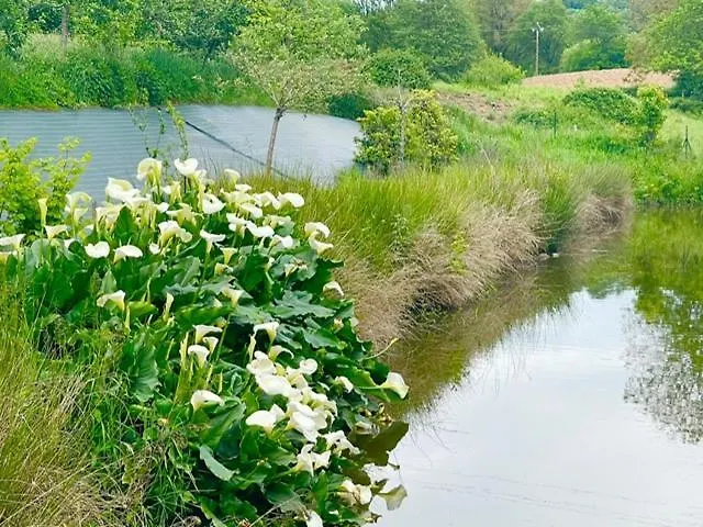 Les Philous Gourmands Couette-café